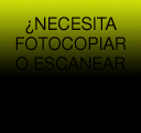 Cedro